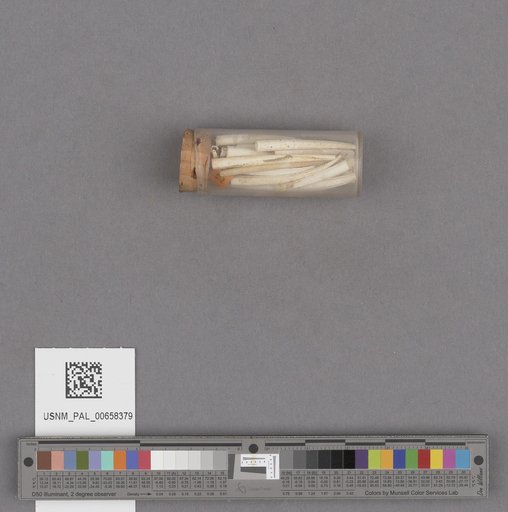 NSF ADBC EPICC TCN