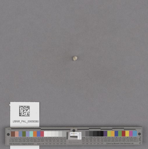 NSF ADBC EPICC TCN