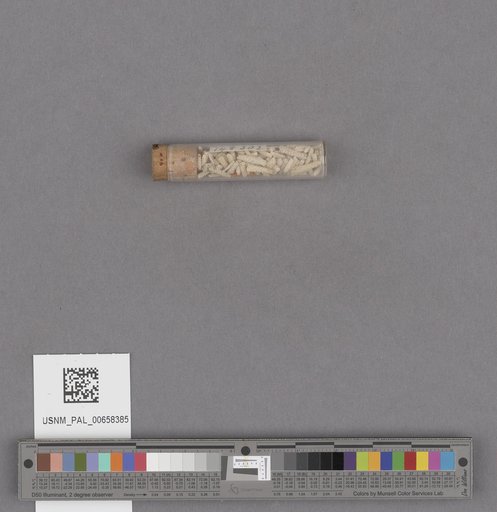 NSF ADBC EPICC TCN