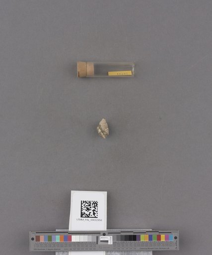 NSF ADBC EPICC TCN