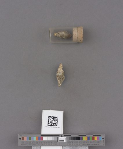 NSF ADBC EPICC TCN