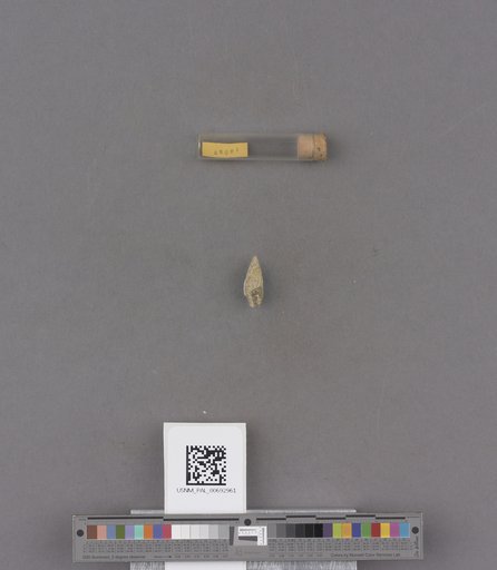 NSF ADBC EPICC TCN