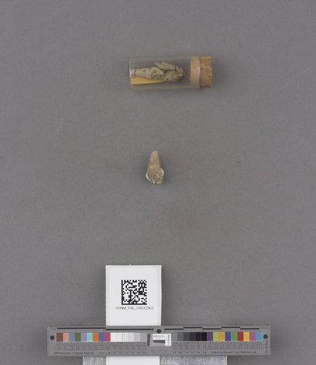 NSF ADBC EPICC TCN
