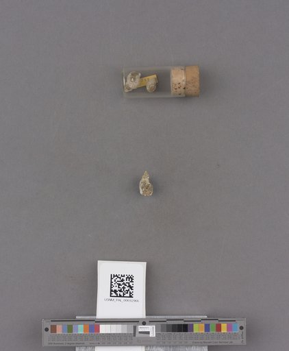 NSF ADBC EPICC TCN