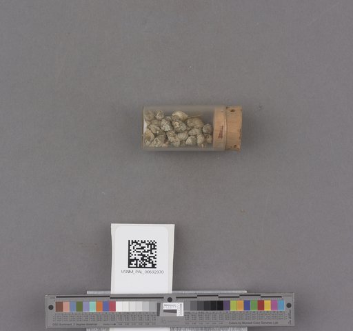 NSF ADBC EPICC TCN