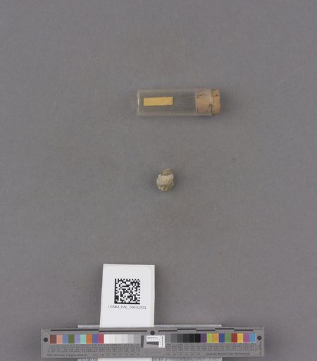 NSF ADBC EPICC TCN