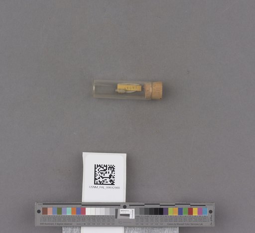 NSF ADBC EPICC TCN