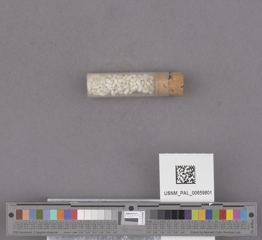NSF ADBC EPICC TCN