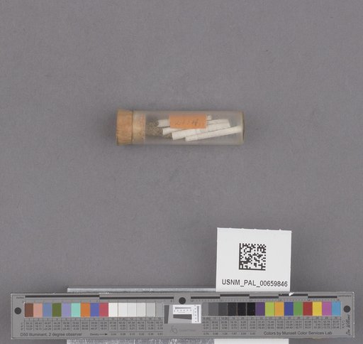 NSF ADBC EPICC TCN