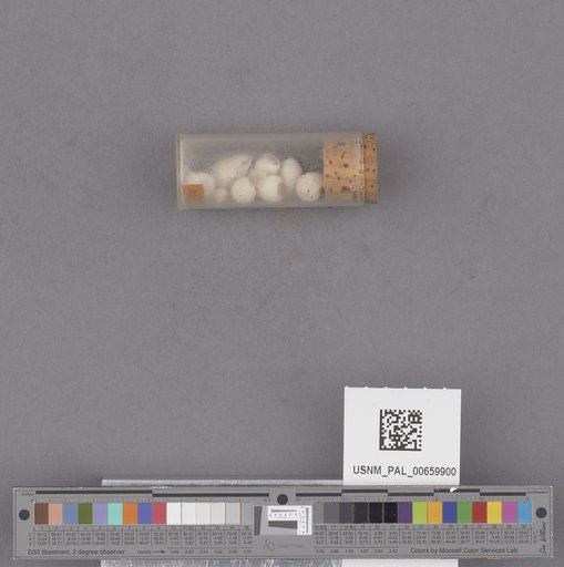 NSF ADBC EPICC TCN