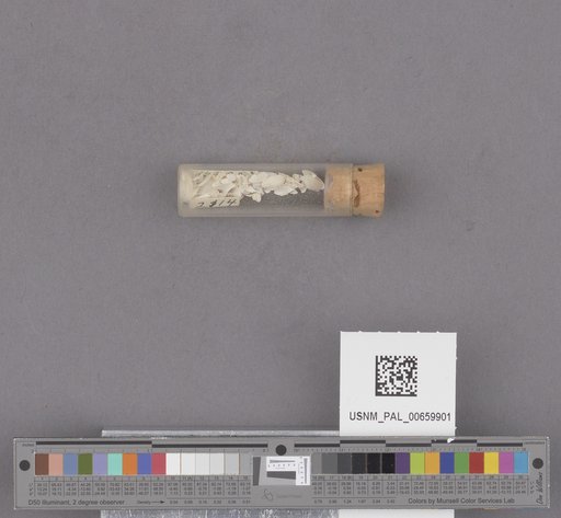 NSF ADBC EPICC TCN