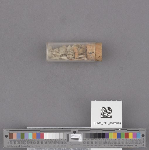 NSF ADBC EPICC TCN