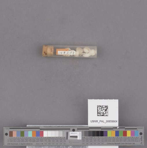 NSF ADBC EPICC TCN