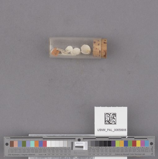 NSF ADBC EPICC TCN