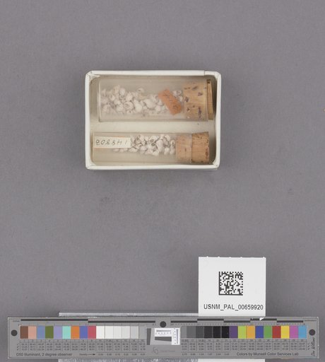 NSF ADBC EPICC TCN