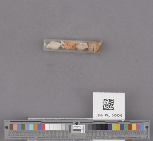 NSF ADBC EPICC TCN