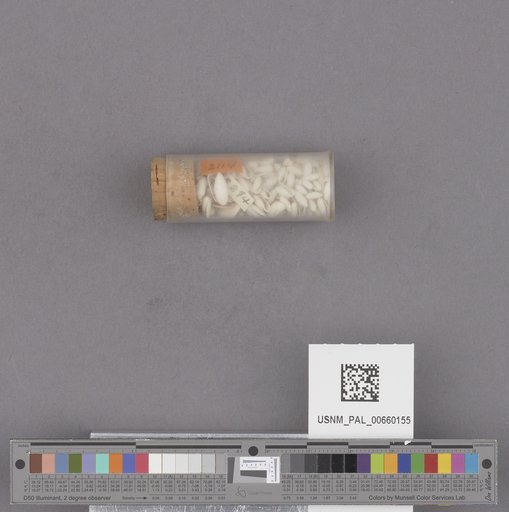 NSF ADBC EPICC TCN