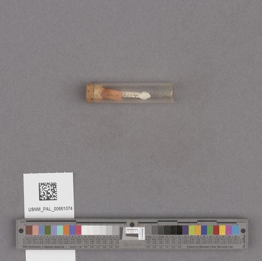 NSF ADBC EPICC TCN