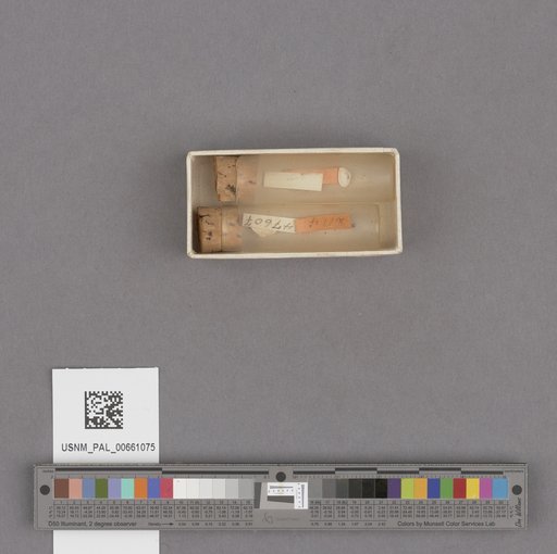 NSF ADBC EPICC TCN