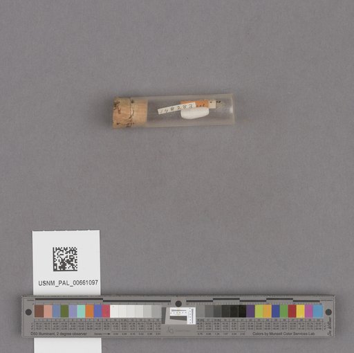 NSF ADBC EPICC TCN