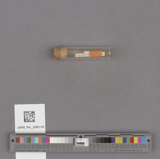 NSF ADBC EPICC TCN