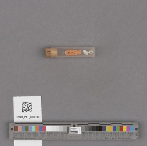 NSF ADBC EPICC TCN