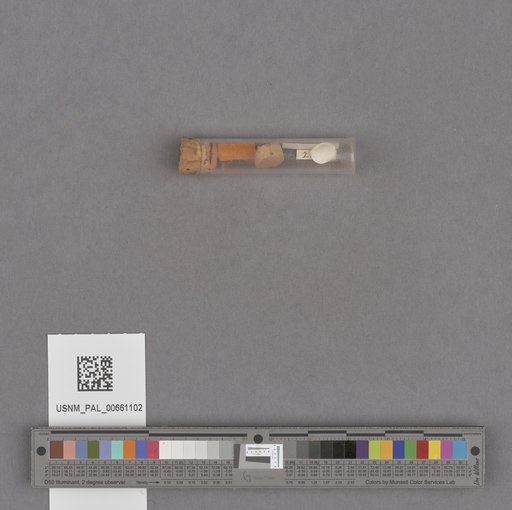 NSF ADBC EPICC TCN