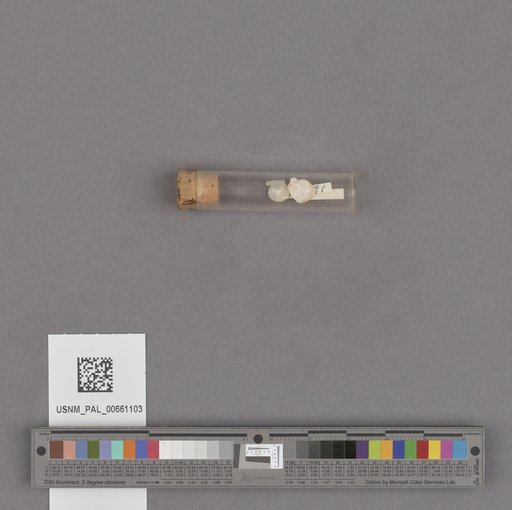 NSF ADBC EPICC TCN