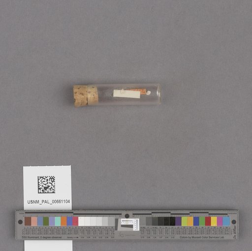 NSF ADBC EPICC TCN