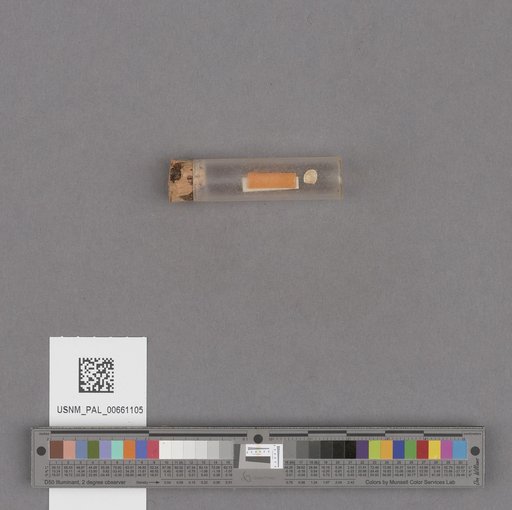 NSF ADBC EPICC TCN