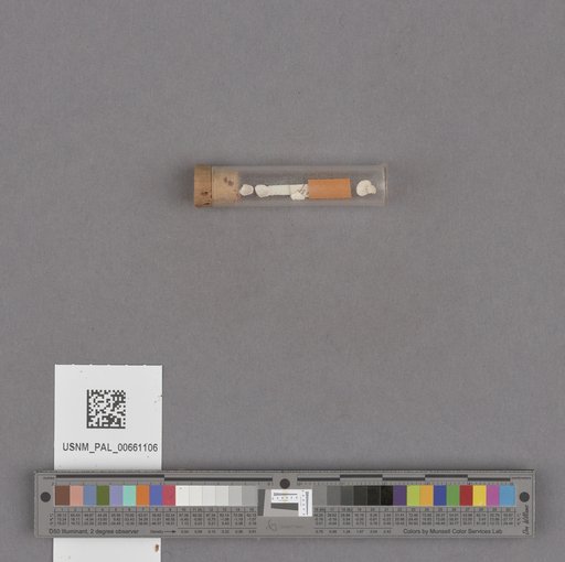NSF ADBC EPICC TCN