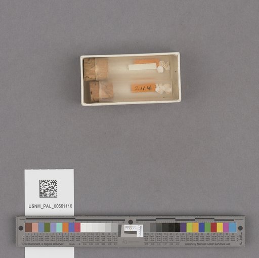 NSF ADBC EPICC TCN