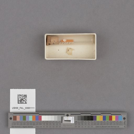 NSF ADBC EPICC TCN