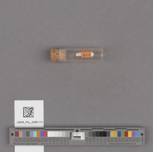 NSF ADBC EPICC TCN