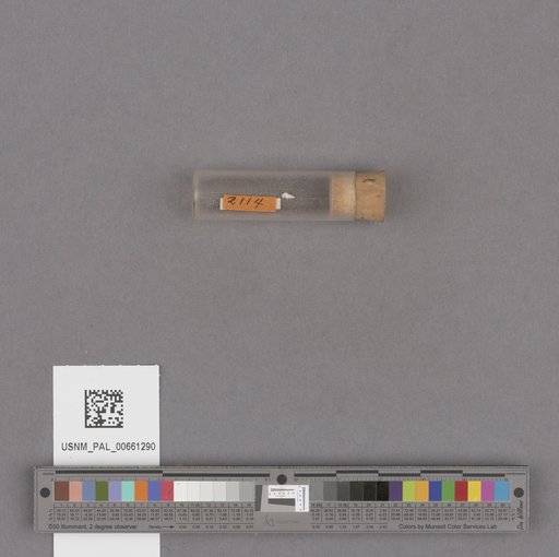 NSF ADBC EPICC TCN