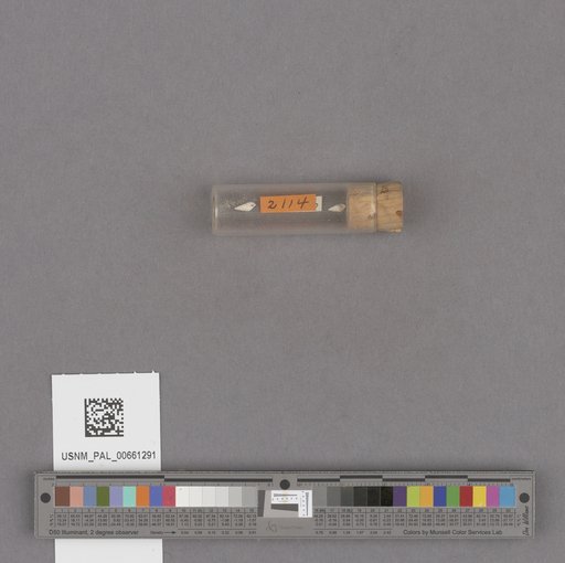 NSF ADBC EPICC TCN