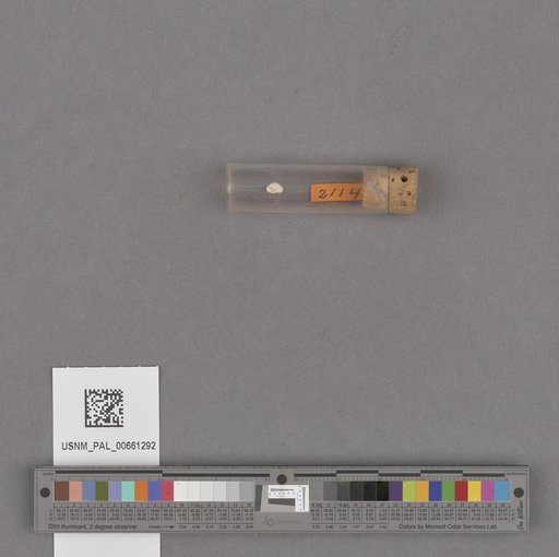NSF ADBC EPICC TCN