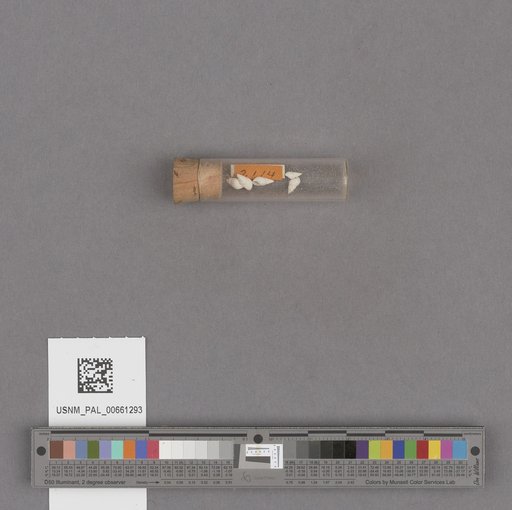 NSF ADBC EPICC TCN
