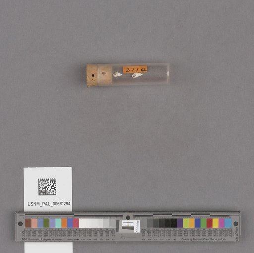NSF ADBC EPICC TCN