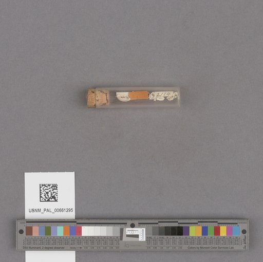 NSF ADBC EPICC TCN