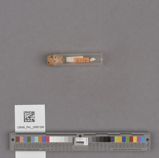 NSF ADBC EPICC TCN