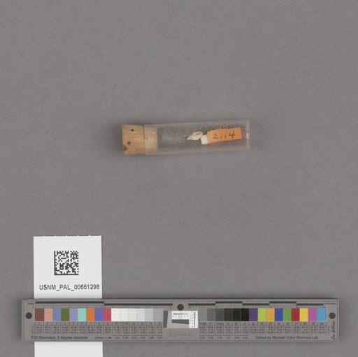 NSF ADBC EPICC TCN