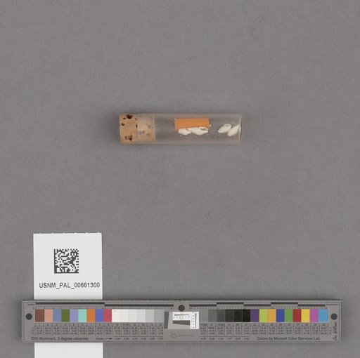 NSF ADBC EPICC TCN