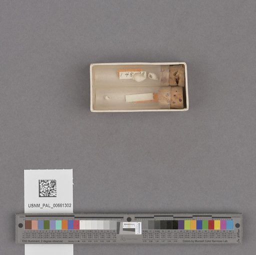 NSF ADBC EPICC TCN