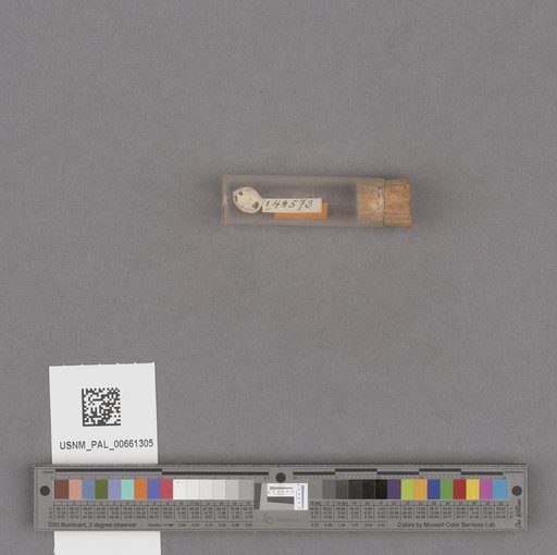 NSF ADBC EPICC TCN