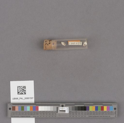 NSF ADBC EPICC TCN