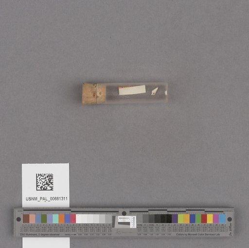 NSF ADBC EPICC TCN