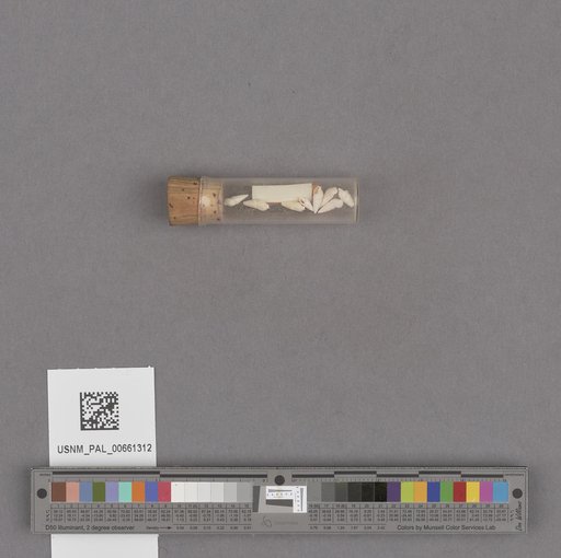 NSF ADBC EPICC TCN