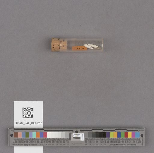 NSF ADBC EPICC TCN