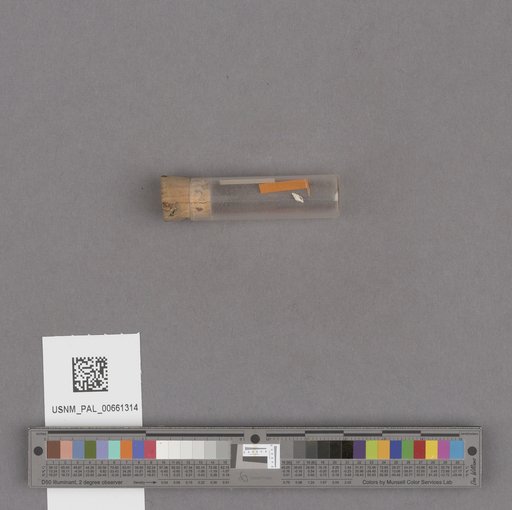NSF ADBC EPICC TCN